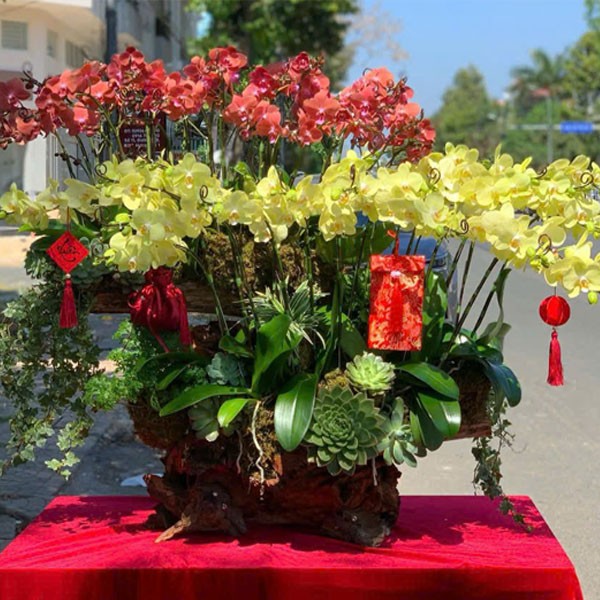 Bó hoa hồng đỏ - 606