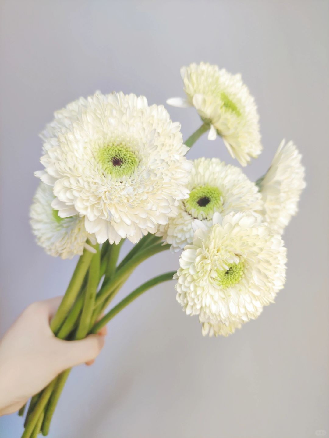 Câu Hỏi Thường Gặp