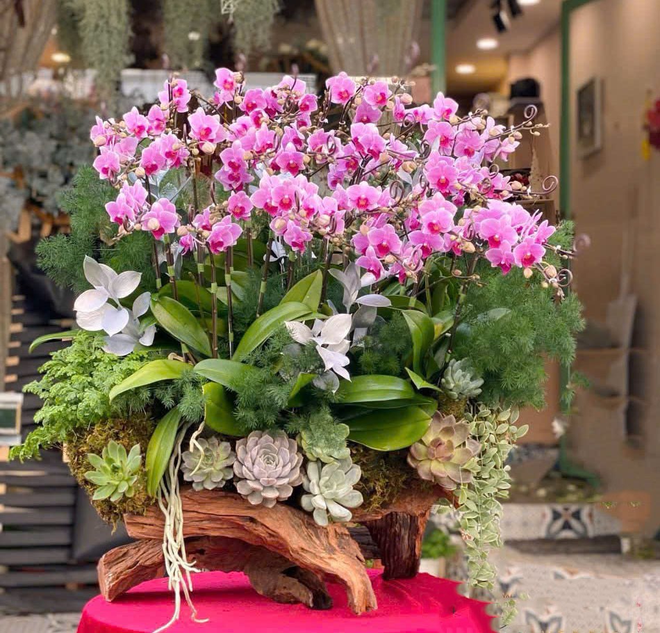 Lũa hoa lan hồ điệp -136