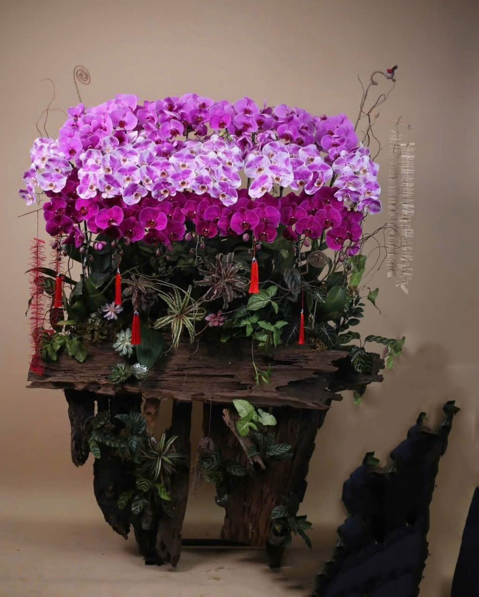 Lũa hoa lan hồ điệp - 815