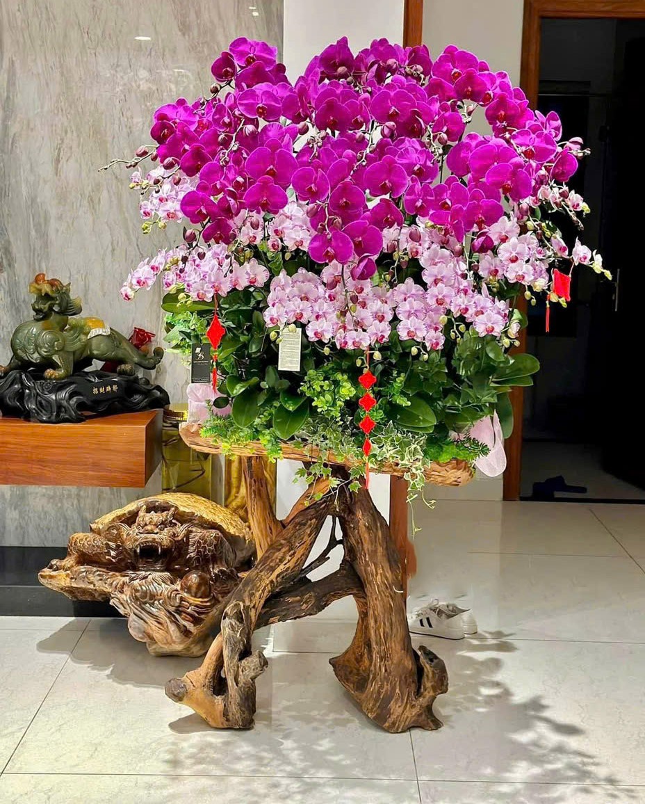 Lũa Hoa lan hồ điệp - 714