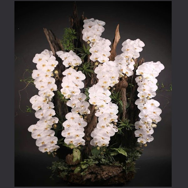 Lũa hoa chúc mừng